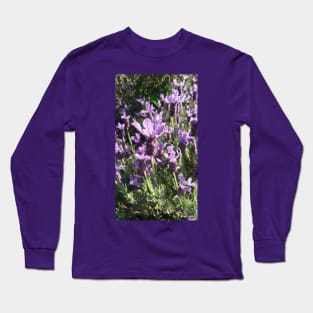 Lavender Flower Long Sleeve T-Shirt